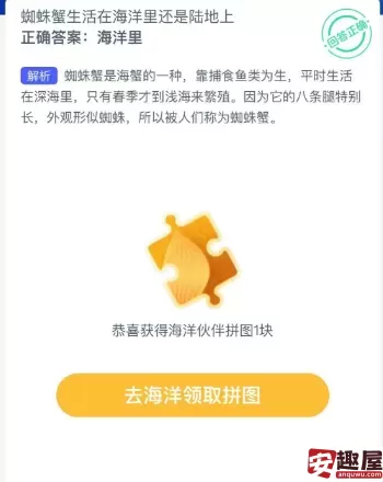 神奇海洋今日答案最新2024.11.12-蜘蛛蟹生活在海洋里还是陆地上