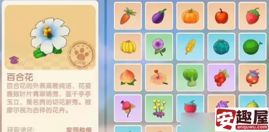 摩尔庄园七色花在哪里-七色花位置分享