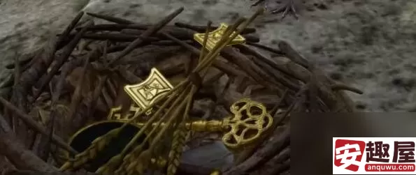 博德之门3鸟巢闪亮亮宝箱怎么获取-博德之门3鸟巢闪亮亮宝箱获取方法