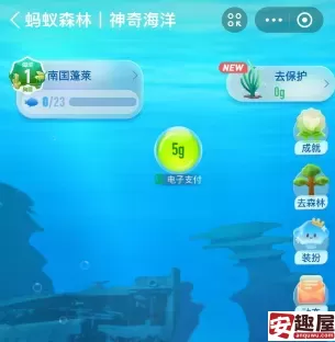 支付宝神奇海洋每日答案是什么-支付宝神奇海洋每日答题答案大全