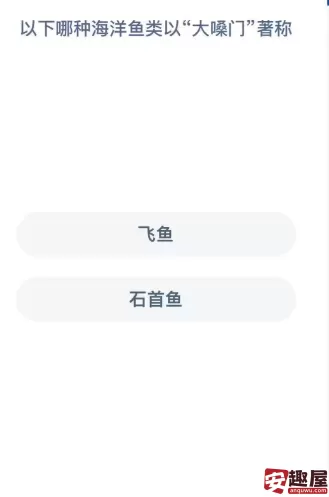 神奇海洋今日答案最新2024.11.14-以下哪种海洋鱼类以“大嗓门”著称