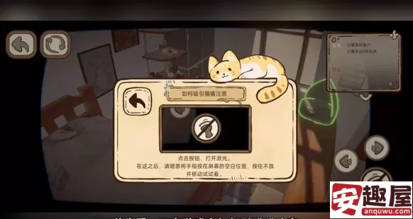 此处应有猫如何引起猫猫注意-此处应有猫引起猫猫注意的方法