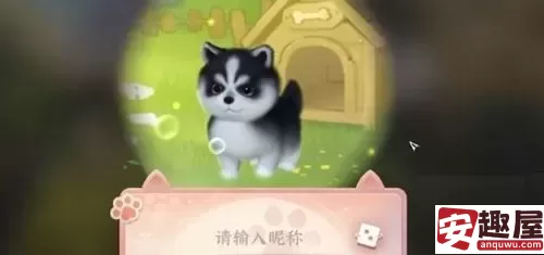 逆水寒育宠身份怎么解锁-逆水寒育宠玩法介绍