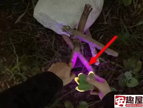 森林之子怎么造火堆-森林之子造火堆步骤