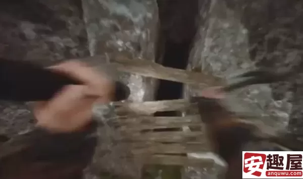 森林之子步枪在哪-森林之子步枪位置分享
