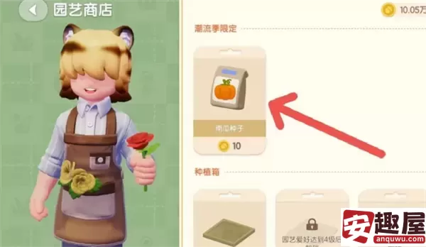 心动小镇南瓜种子在哪买-心动小镇南瓜种子购买地点