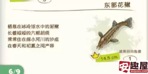 蜡笔小新煤炭镇的小白东部花鳅在哪钓-蜡笔小新煤炭镇的小白东部花鳅位置