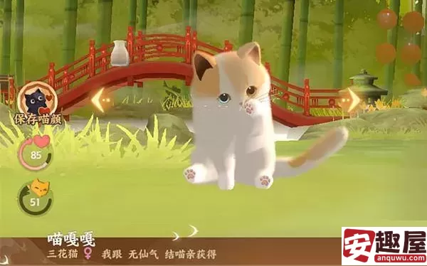 忘川风华录怎么获得名士猫-忘川风华录获得名士猫方法