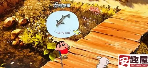 蜡笔小新煤炭镇的小白东部花鳅在哪钓-蜡笔小新煤炭镇的小白东部花鳅位置