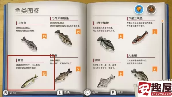 我与博士的假期香鱼在哪里钓-香鱼钓取位置