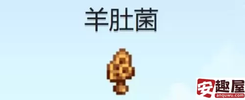 星露谷物语羊肚菌怎么获得-星露谷物语羊肚菌获得方法