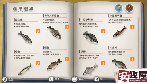 我与博士的假期怎么钓鱼-我与博士的假期钓鱼技巧