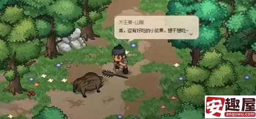 大侠立志传迷踪林支线有哪些-大侠立志传迷踪林支线介绍