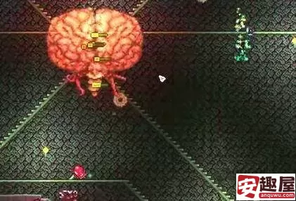 泰拉瑞亚克苏鲁之脑怎么打-泰拉瑞亚克苏鲁之脑打法攻略