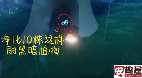 光遇6月7号任务怎么做-光遇6月7号任务通关攻略