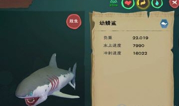 创造与魔法中幼鲸鲨在哪儿