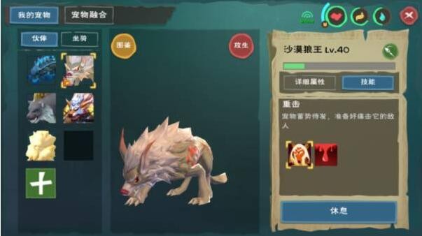 创造与魔法狼怎么抓