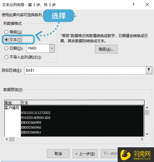 Excel数据分列并转为文本格式的操作步骤