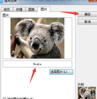 WPS怎么插入图片到文字内容？怎么更改文字背景为图片背景？