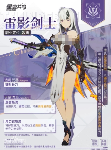 星痕共鸣雷影剑士详解-星痕共鸣雷影剑士玩法介绍