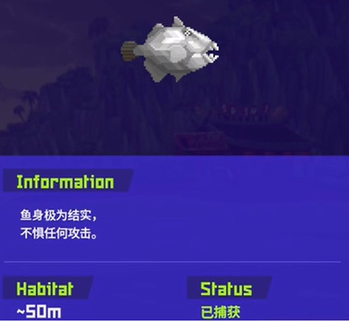 潜水员戴夫泰坦扳机鱼怎么抓-潜水员戴夫手游泰坦扳机鱼抓捕方法